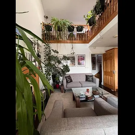 Bright Penthouse With Private Rooftop & Duplex Living ! Pensión